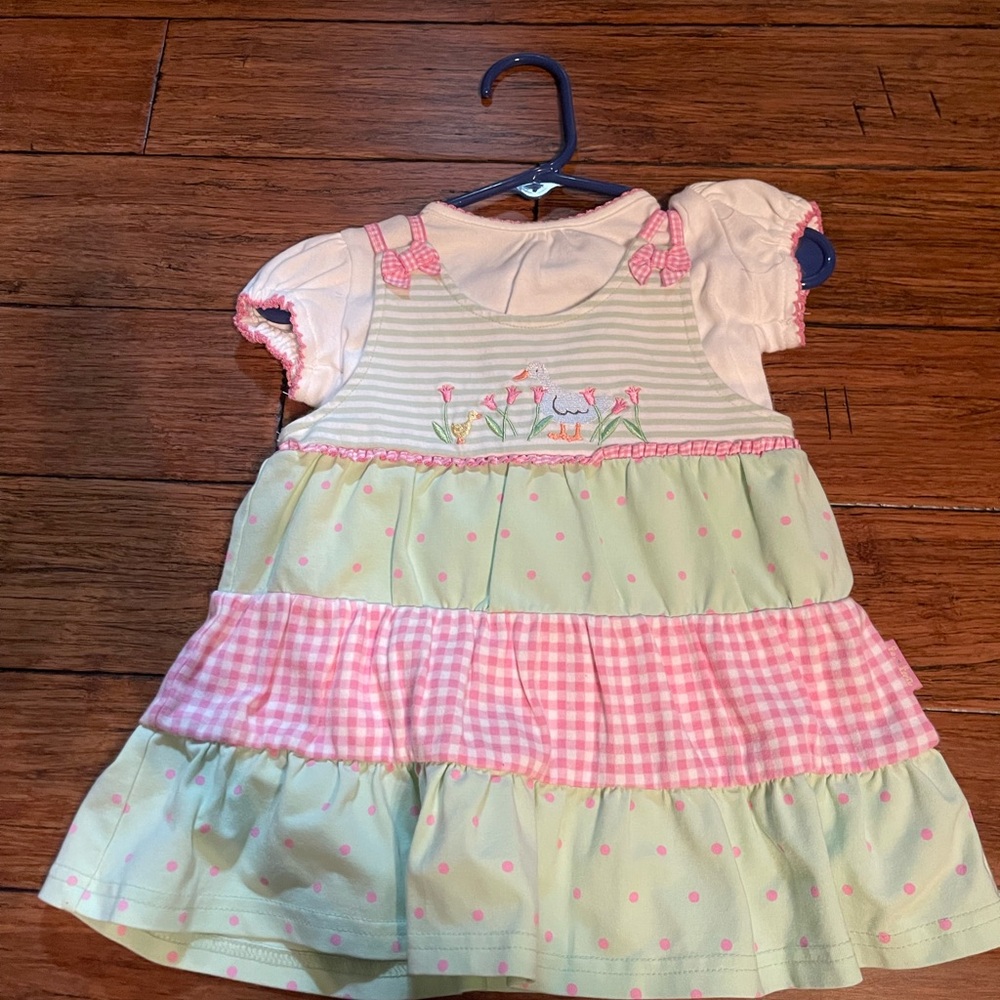 Le Top 6M Adorable Pink and Green Baby Dress With Ducks